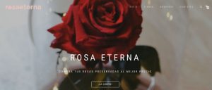 Entrevistamos a Rosaeterna, un interesante ecommerce de nicho