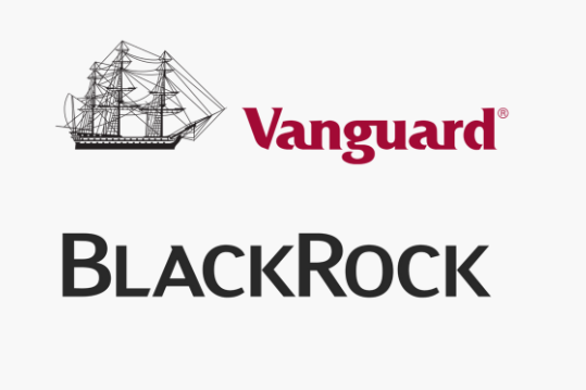 Blackrock y Vanguard: los actores dominantes del mundo de los ETFs