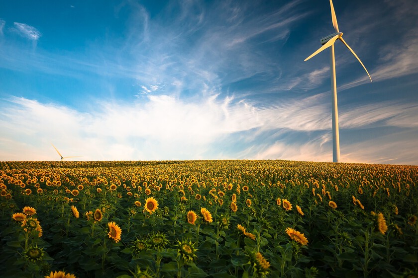 Los 4 puntos más polémicos de la Agenda 2030 sobre la energía renovable